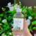 景泽兰林茉莉花水植物饮料招代理可一件代发