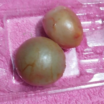 鸭宝两个