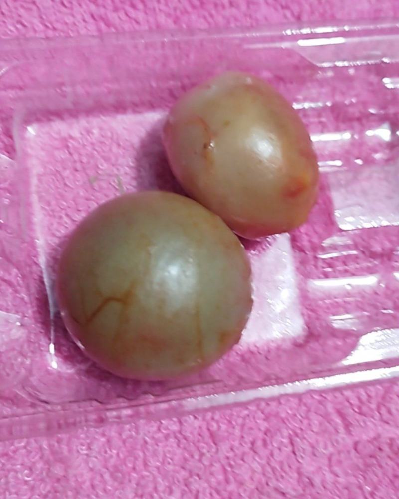鸭宝两个