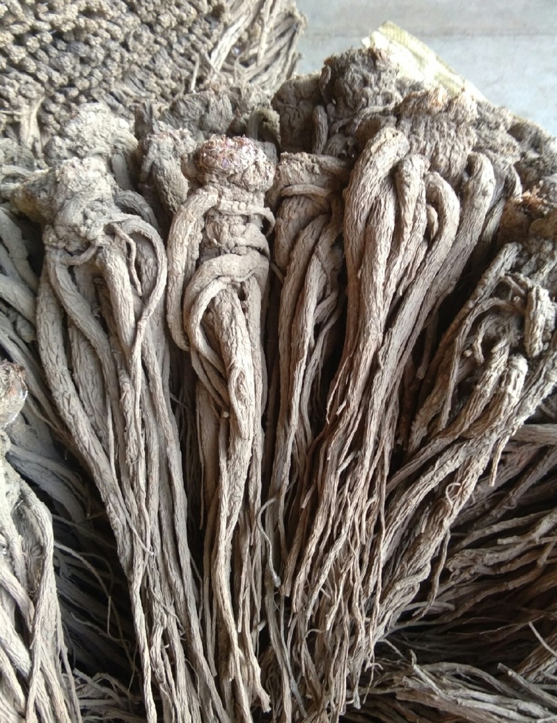 一手货源正规货源当归优质批发量大从优