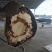 正宗黄海海蜇