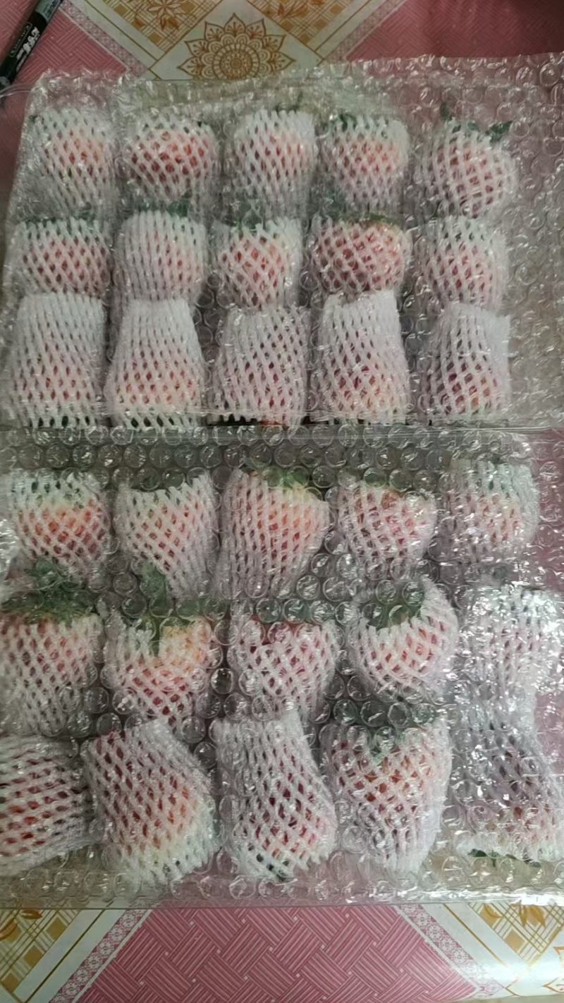 丹东东港九九草莓口感甜润产地直发送礼佳品质量保证
