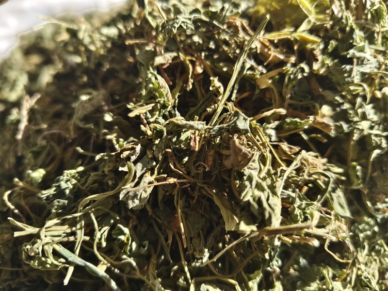 苦地丁新苦地丁自然晾晒无硫***色青无杂野地