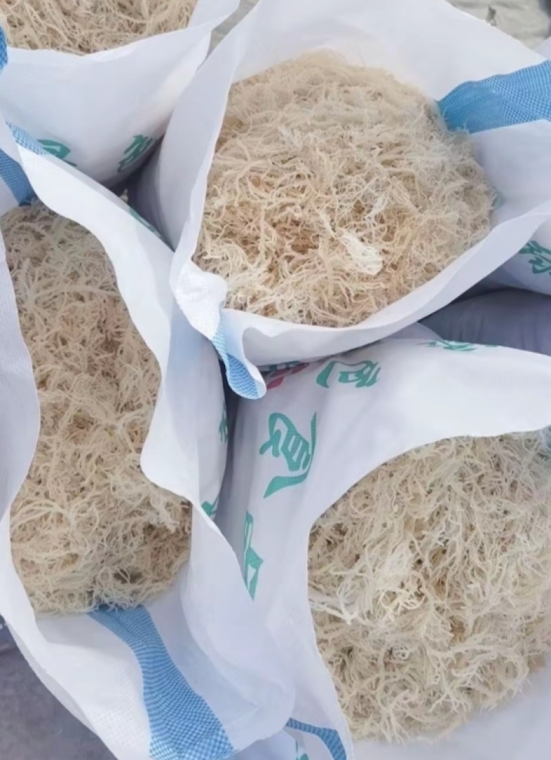 山东省滕州市批发凉拌菜，龙须菜，鹿角菜，精品普货规格齐全