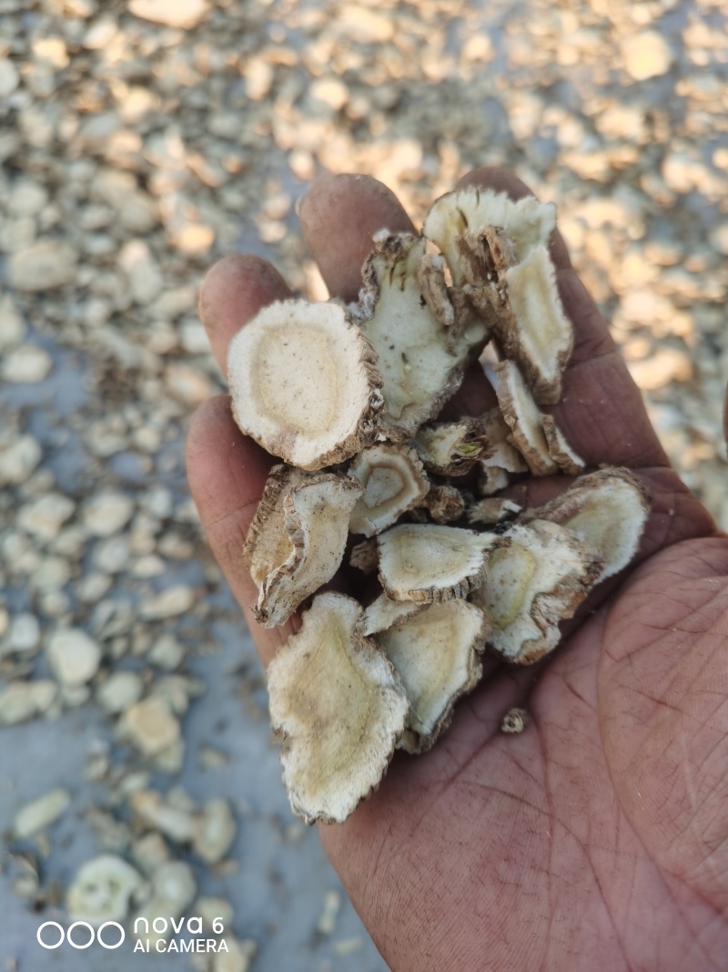 无硫白芷片，自然晾干，肉食必备香料