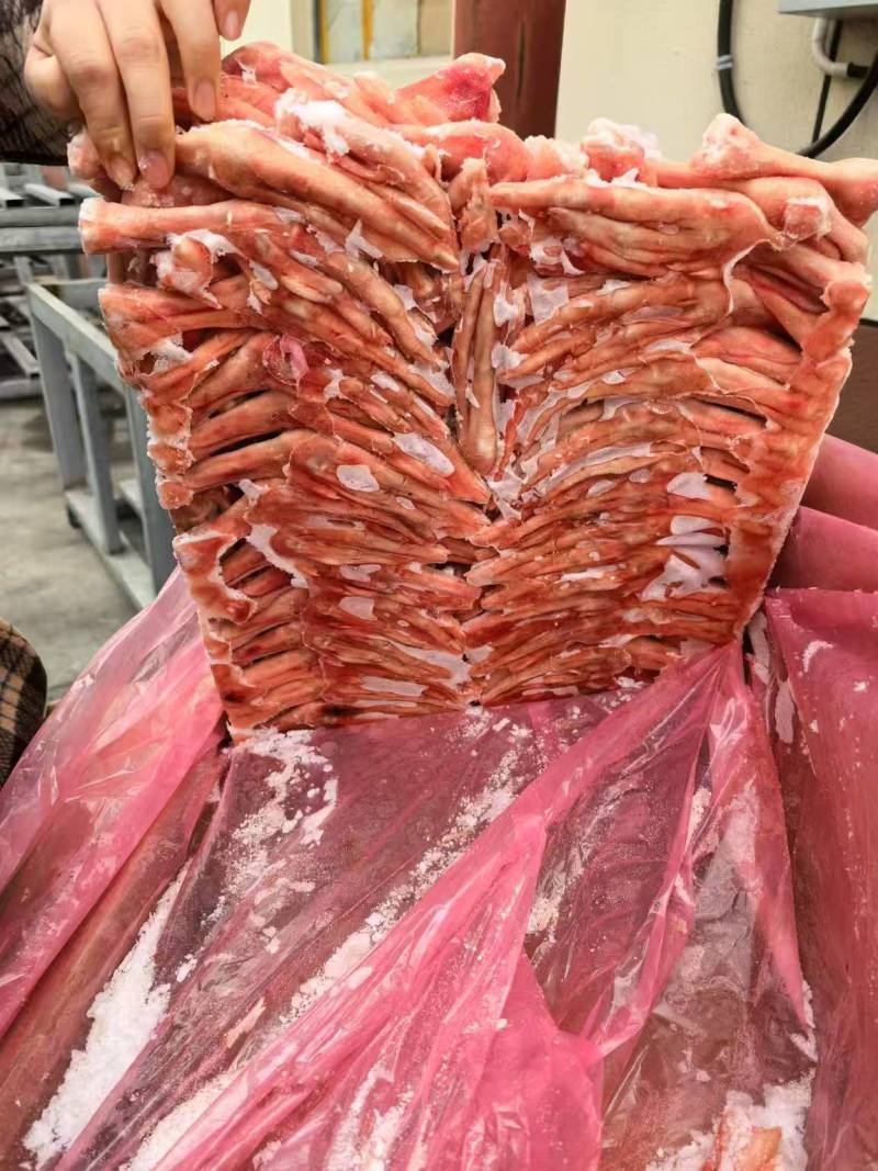 鹅掌鹅翅鹅胗