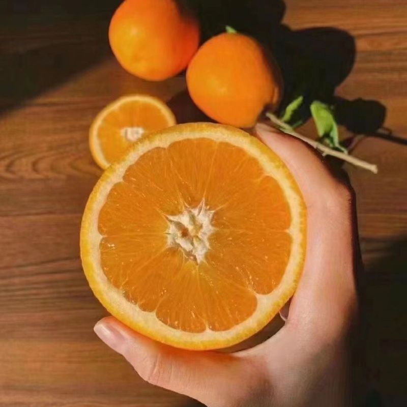 【牛商优选】奉节脐橙大量供应对接电商商超品质保证