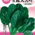 菠菜种子全能大黑叶大圆叶红棍黑叶肥厚耐热耐寒