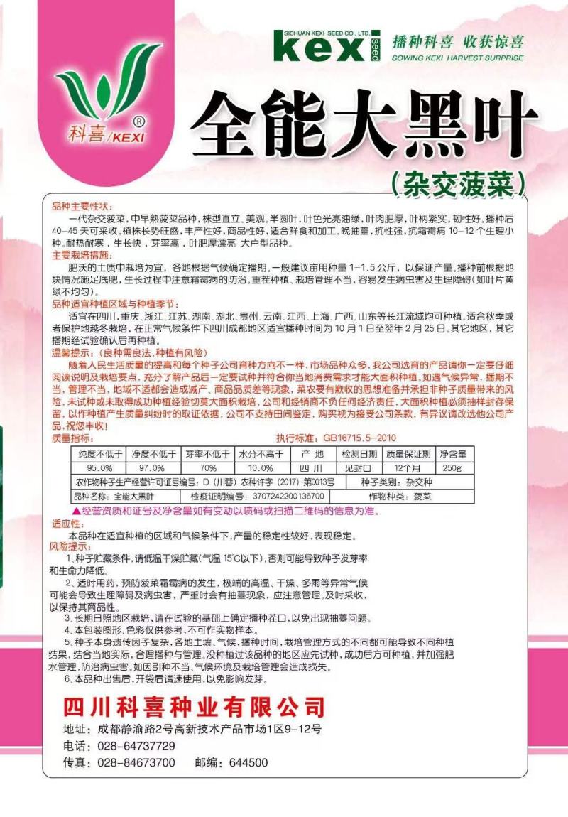 菠菜种子全能大黑叶大圆叶红棍黑叶肥厚耐热耐寒