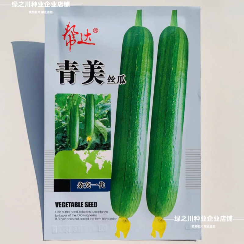 帮达青美丝瓜种子清香丝瓜种子翠绿油亮香丝瓜种籽杂交高产