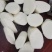 金田淮山药，圆直粗壮粉糯香，白肉细纹宜煲煮。