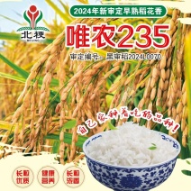 东北大米香米厂家直销量大质优价格优惠欢迎咨询采购