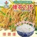 东北大米香米厂家直销量大质优价格优惠欢迎咨询采购