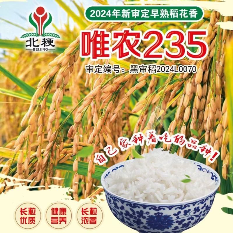 东北大米香米厂家直销量大质优价格优惠欢迎咨询采购
