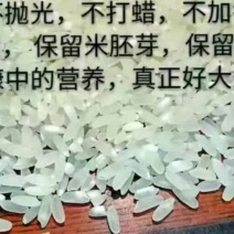 亲手育苗栽植收割脱粒加工打包发货正宗原产地五常稻花香大米