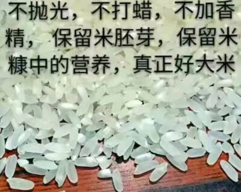 亲手育苗栽收脱粒加工打包发货正宗原产地五常稻花香大米粥米