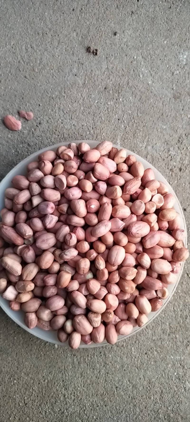 2025白沙花生米-无碎瓣适合榨油，商品，电商，加工厂