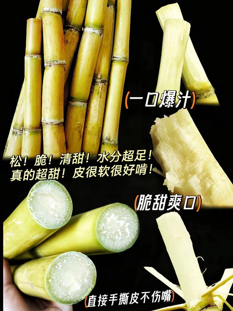 精）云南黄金甘蔗，一口爆汁，酥脆清甜！水分超足，电话询价