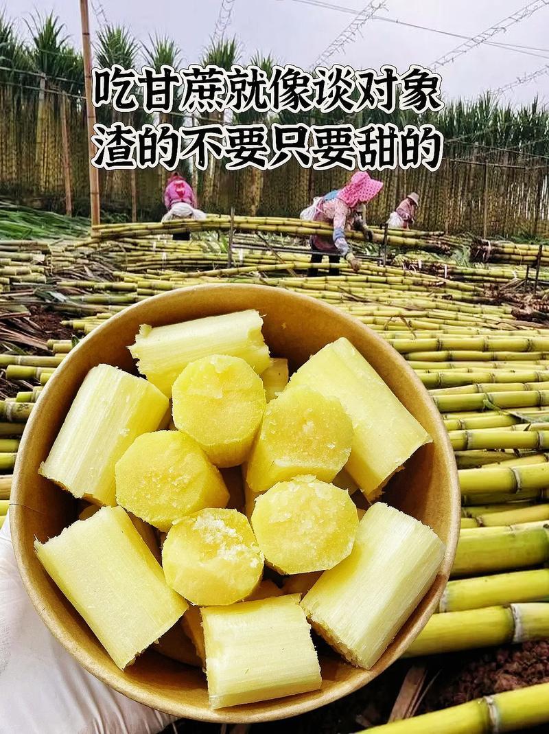 精）云南黄金甘蔗，一口爆汁，酥脆清甜！水分超足，电话询价