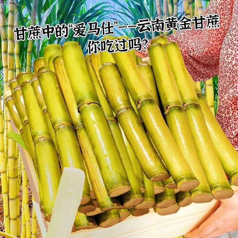 精）云南黄金甘蔗，一口爆汁，酥脆清甜！水分超足，电话询价