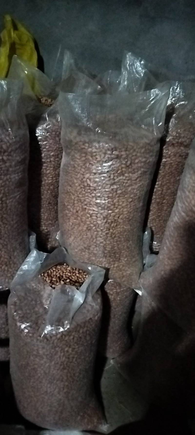 2025白沙花生米-无碎瓣适合榨油，商品，电商，加工厂