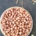 2025白沙花生米-无碎瓣适合榨油,商品,电商,加工厂