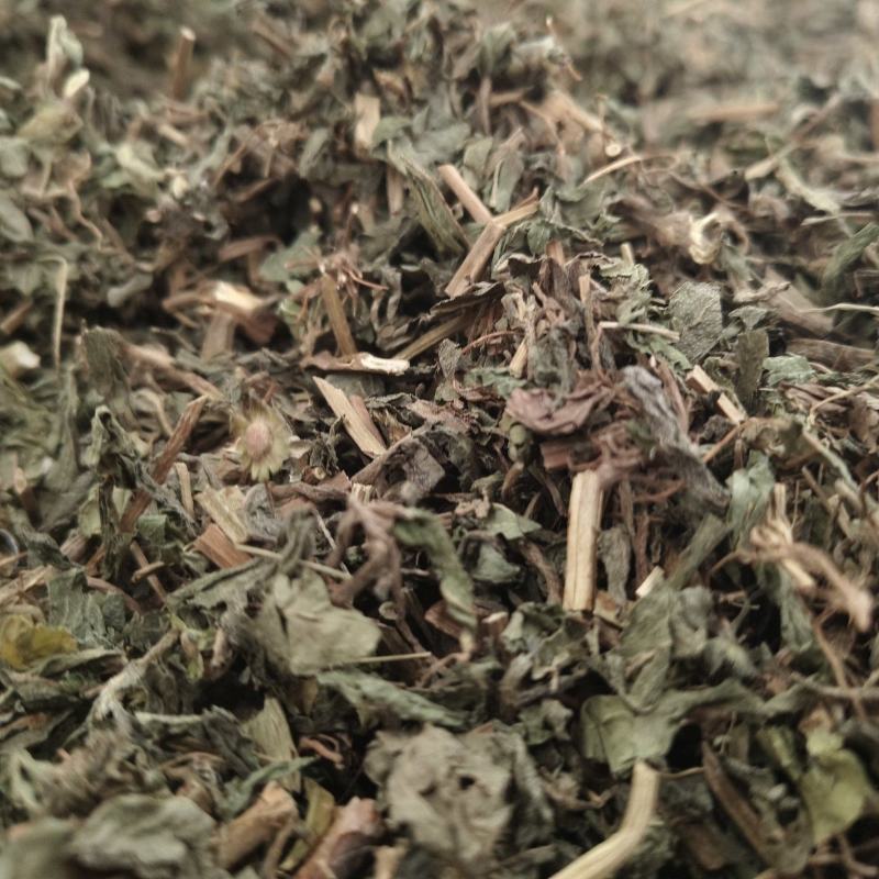 旱莲草新货旱莲草色青无杂假一赔十大货批发零售
