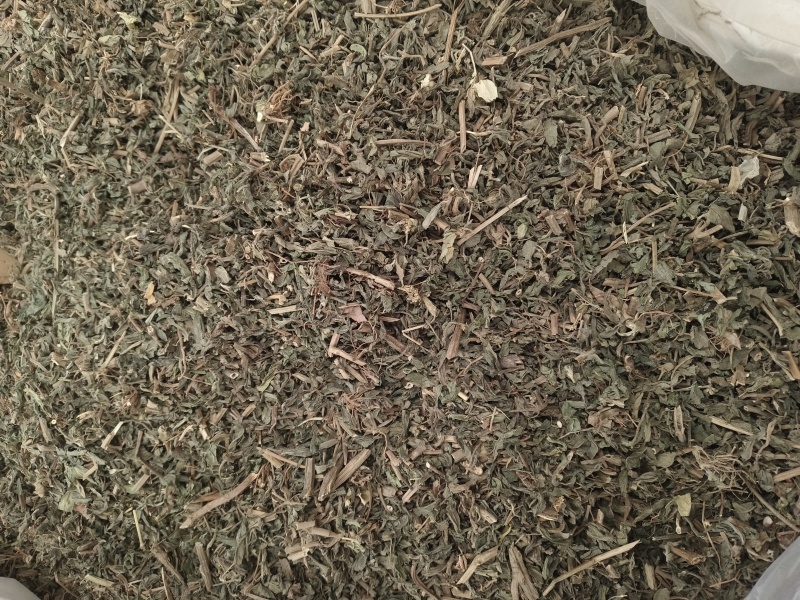 旱莲草新货旱莲草色青无杂假一赔十大货批发零售