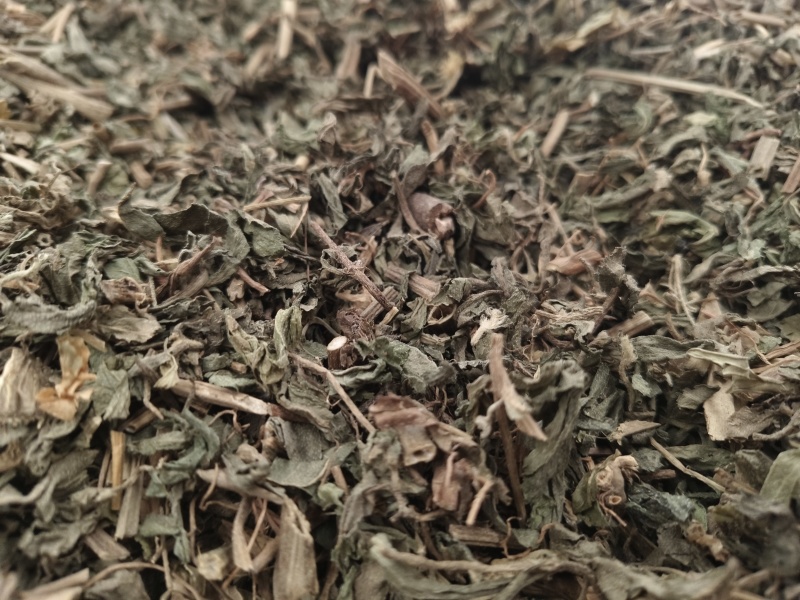 旱莲草新货旱莲草色青无杂假一赔十大货批发零售