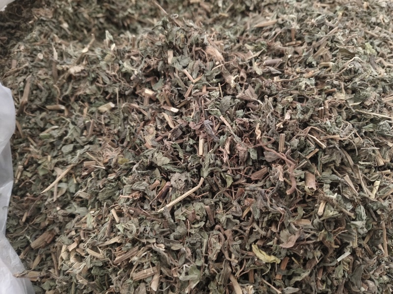旱莲草新货旱莲草色青无杂假一赔十大货批发零售