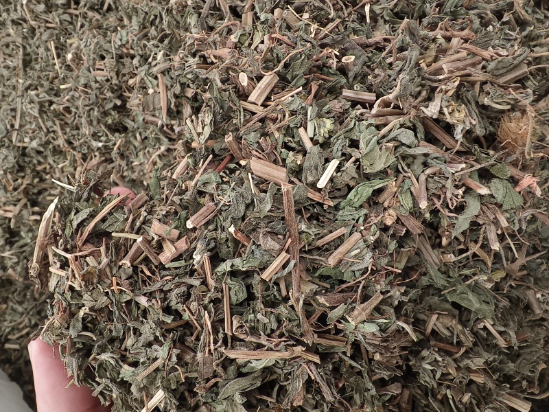 旱莲草新货旱莲草色青无杂假一赔十大货批发零售