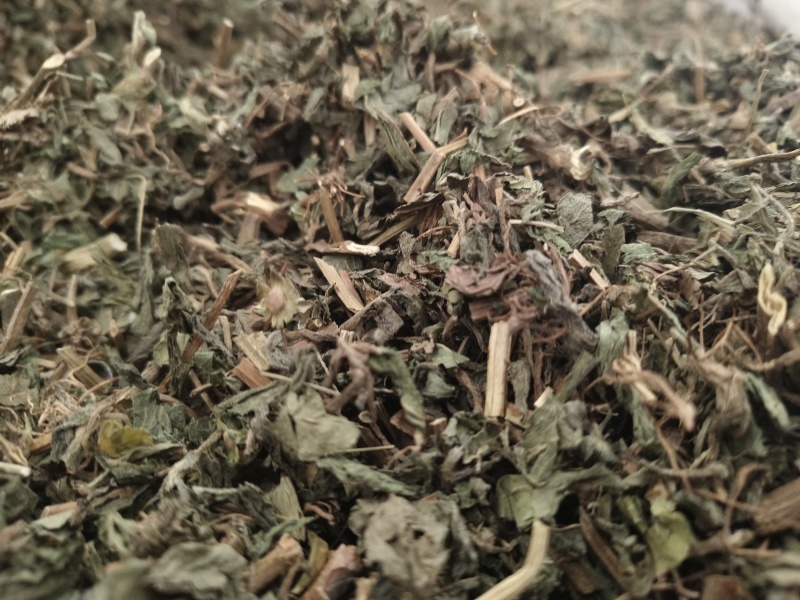 旱莲草新货旱莲草色青无杂假一赔十大货批发零售