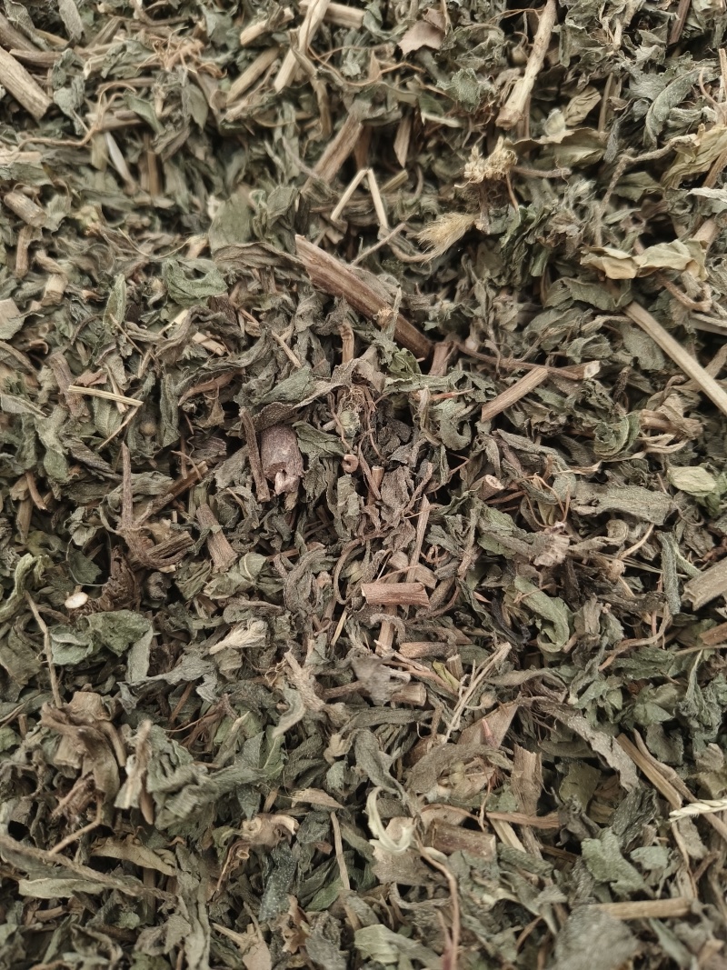 旱莲草新货旱莲草色青无杂假一赔十大货批发零售