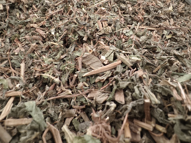 旱莲草新货旱莲草色青无杂假一赔十大货批发零售
