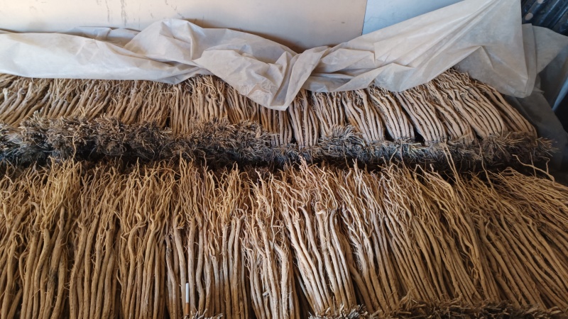 防风新货，原产地直发，数量有限，需要的老板抓紧下单