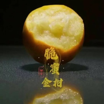 融安金桔-脆蜜金柑-B级果，纯甜无酸-无籽无核