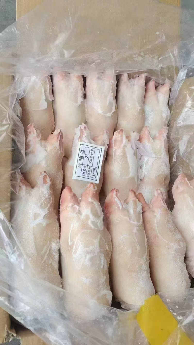 精品猪蹄价格优惠