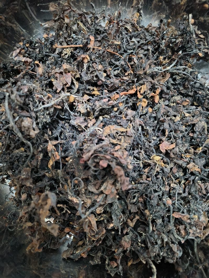 海藻中药材海藻批发无杂质纯净货质量保证