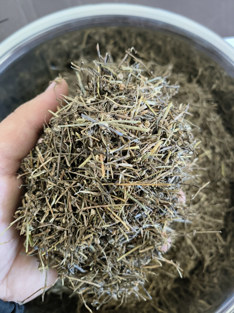 白花蛇舌草干净无杂质现货新货好货价格诚信