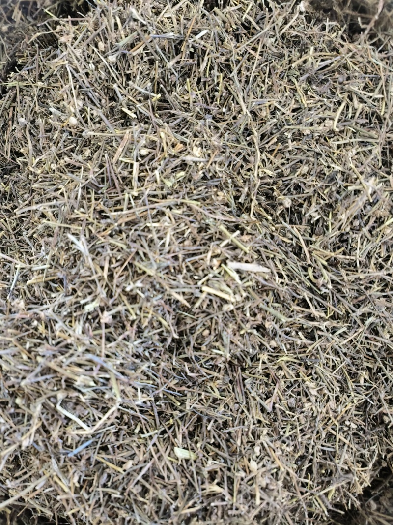 白花蛇舌草干净无杂质现货新货好货价格诚信