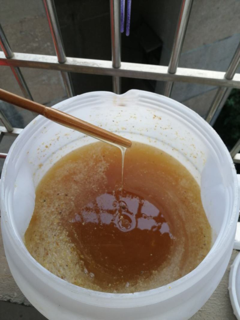 广西高山百花蜂蜜