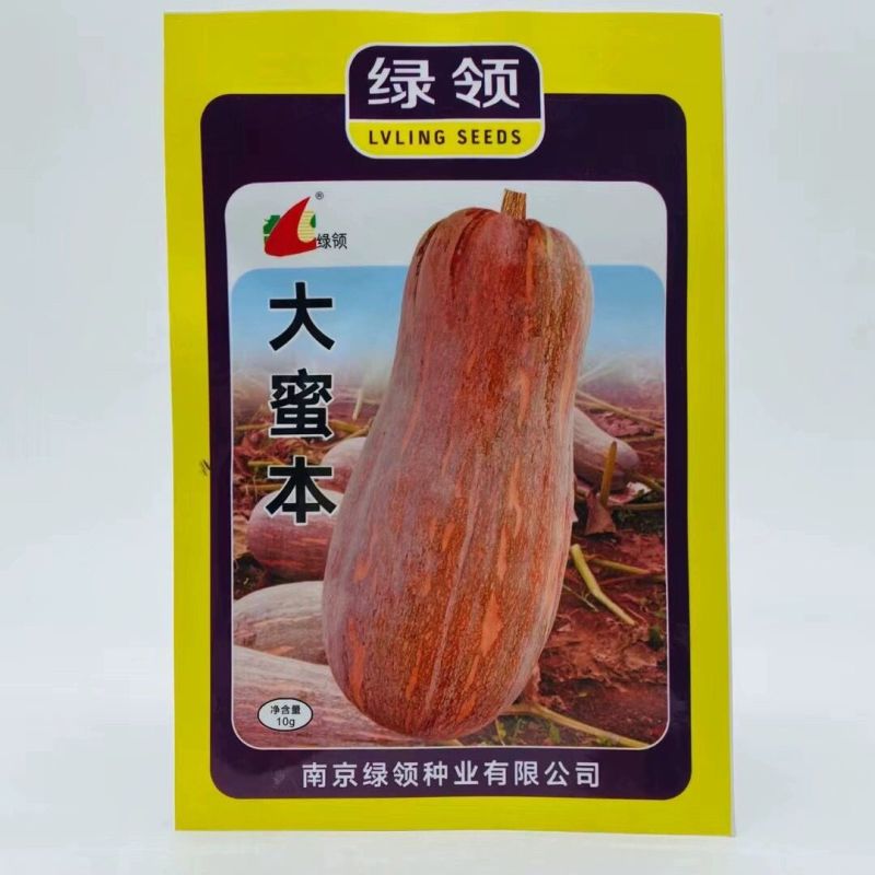 蜜本南瓜种子，蜜本南瓜种子，南瓜种子，南瓜种子