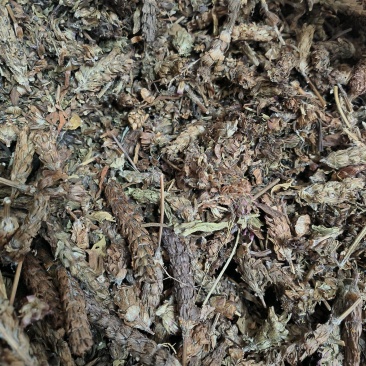 夏枯球新货干货无潮