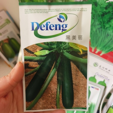 西葫芦种子墨绿黑色黑皮黑西葫芦种子老品种耐热西葫芦蔬菜大
