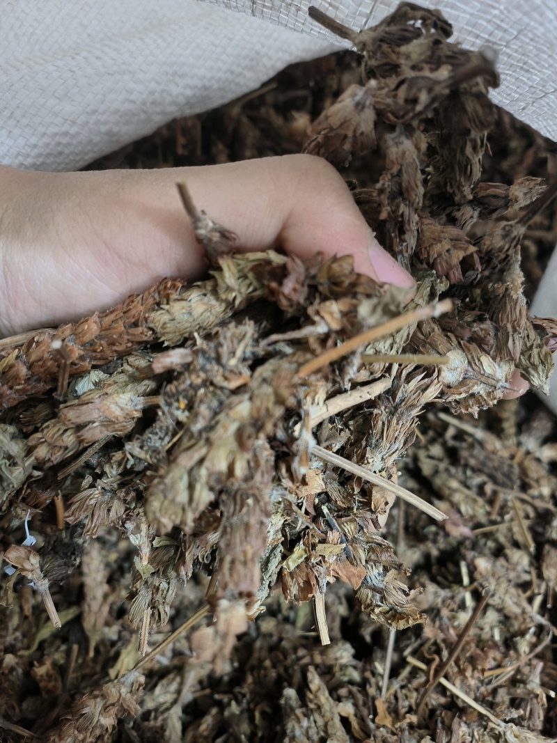 夏枯球新货干货无潮