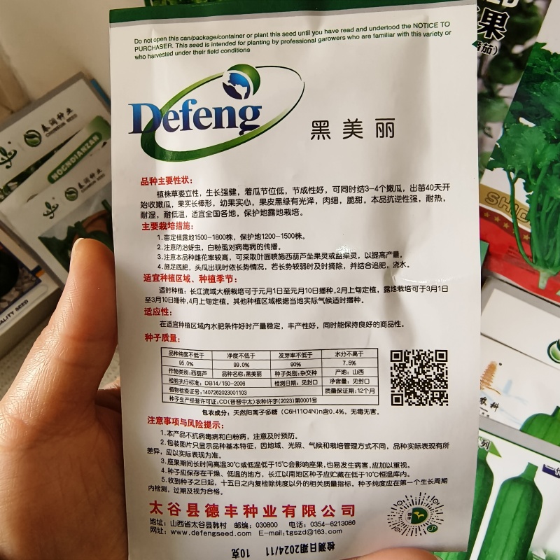 西葫芦种子墨绿黑色黑皮黑西葫芦种子老品种耐热西葫芦蔬菜大