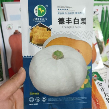 德丰白栗南瓜种子春播中熟厚扁圆形肉粉质老南瓜