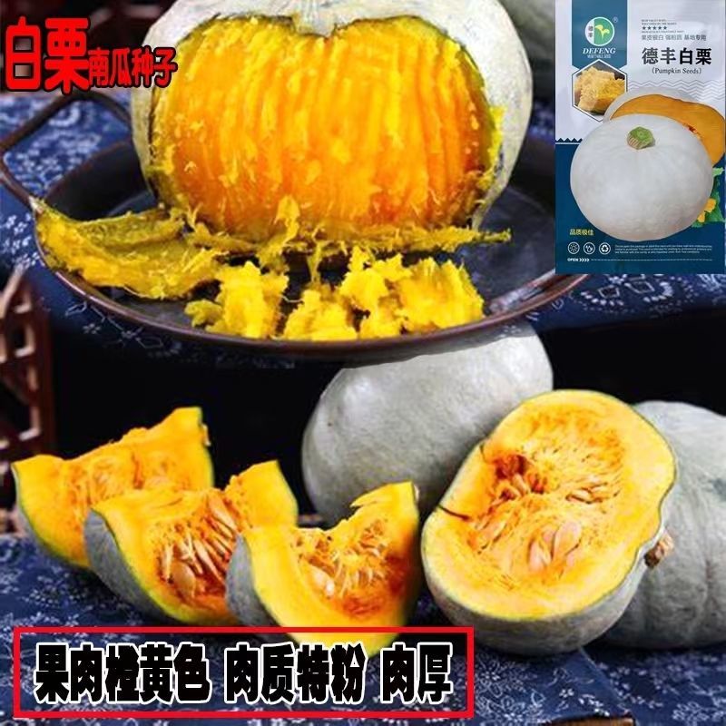 德丰白栗南瓜种子春播中熟厚扁圆形肉粉质老南瓜
