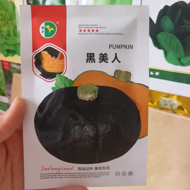 德丰白栗南瓜种子春播中熟厚扁圆形肉粉质老南瓜