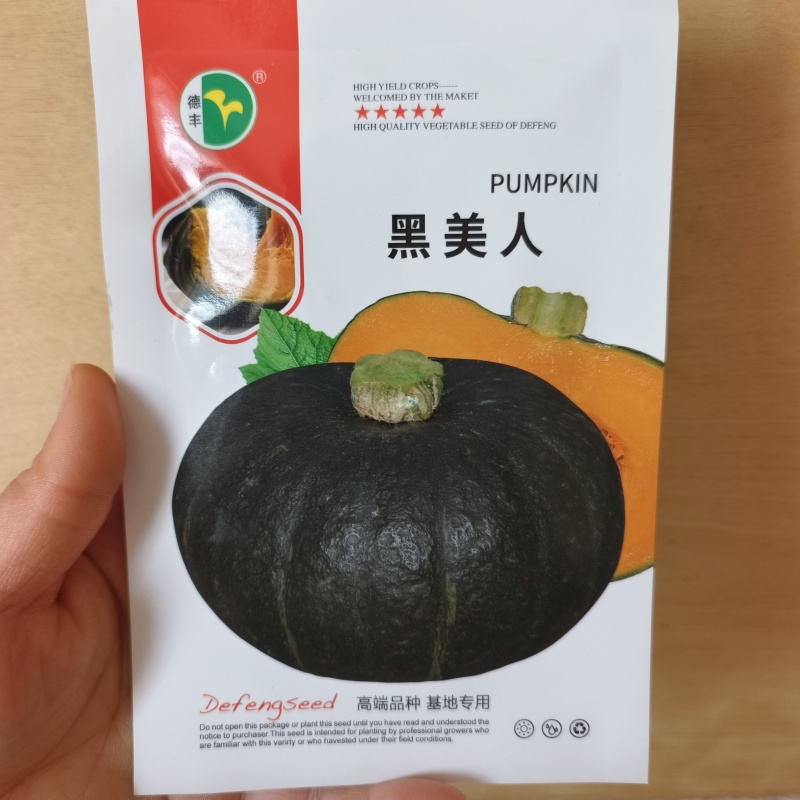 德丰白栗南瓜种子春播中熟厚扁圆形肉粉质老南瓜
